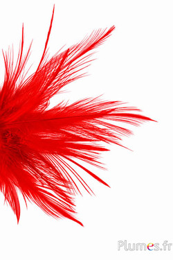 Kraanvogel - 12-14 cm - rood